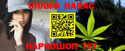 Альфа ПВП Моздок