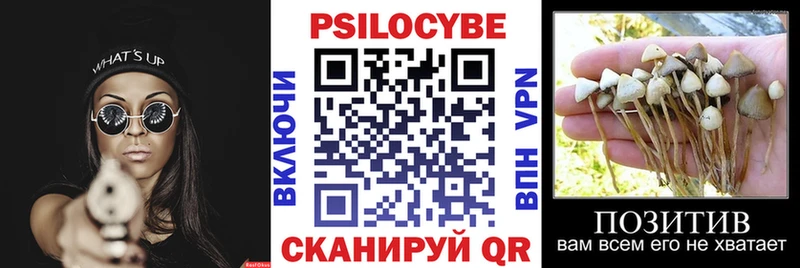 Псилоцибиновые грибы ЛСД  blacksprut зеркало  Йошкар-Ола  как найти наркотики 