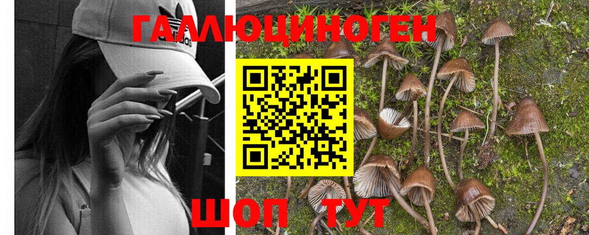 Псилоцибиновые грибы Magic Shrooms Йошкар-Ола