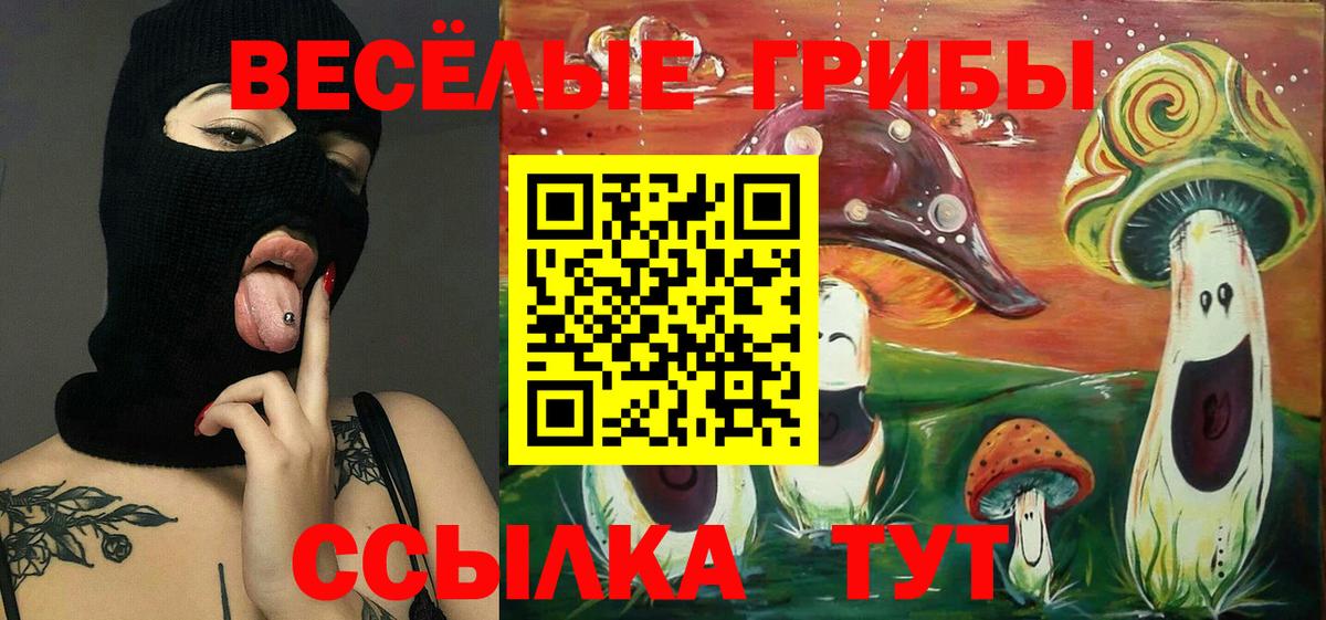 Галлюциногенные грибы MAGIC MUSHROOMS  Вход с VPN  Псилоцибиновые грибы мицелий  Йошкар-Ола 