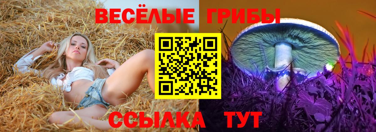 Псилоцибиновые грибы мицелий Йошкар-Ола