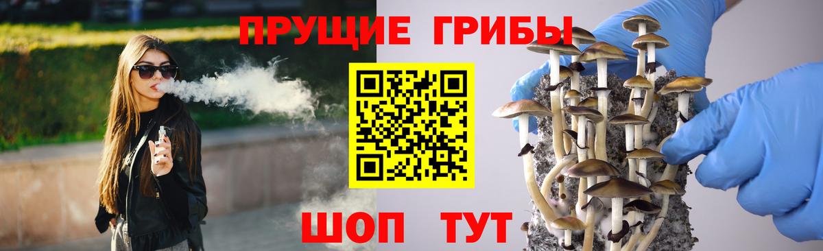 Галлюциногенные грибы GOLDEN TEACHER  Галлюциногенные грибы Psilocybe  Йошкар-Ола 